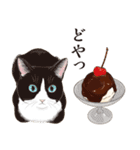 夏の猫分補給スタンプ（個別スタンプ：35）