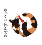 夏の猫分補給スタンプ（個別スタンプ：38）