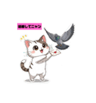 白茶猫シーちゃんの連絡下さいシリーズ（個別スタンプ：8）
