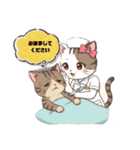 白茶猫シーちゃんの連絡下さいシリーズ（個別スタンプ：10）