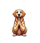無言でゴールデンレトリバー リアクション（個別スタンプ：12）