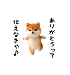 エッホエッホ豆柴（個別スタンプ：5）