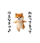 エッホエッホ豆柴（個別スタンプ：13）