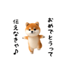 エッホエッホ豆柴（個別スタンプ：16）