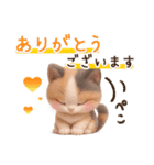 【敬語】ふわふわ三毛猫3D/Vol.1（個別スタンプ：4）