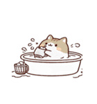 お風呂猫 リラックス（個別スタンプ：21）