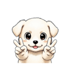 【Vサイン犬 2】（個別スタンプ：7）