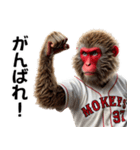 日本猿×ベースボール（野球）！3Dリアル（個別スタンプ：17）