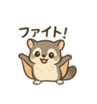 ムササビフクロウ（個別スタンプ：2）