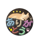れおとてり6（個別スタンプ：1）