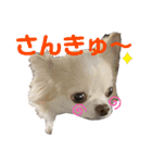 れおとてり6（個別スタンプ：3）