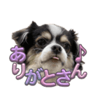 れおとてり6（個別スタンプ：4）