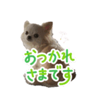 れおとてり6（個別スタンプ：7）