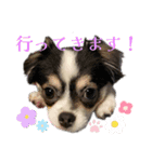 れおとてり6（個別スタンプ：8）