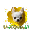 れおとてり6（個別スタンプ：9）
