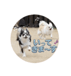 れおとてり6（個別スタンプ：10）