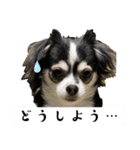 れおとてり6（個別スタンプ：11）