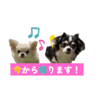 れおとてり6（個別スタンプ：12）