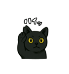 黒猫兄弟ココピー④（個別スタンプ：1）
