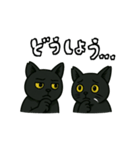 黒猫兄弟ココピー④（個別スタンプ：3）