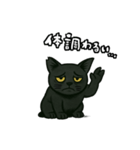 黒猫兄弟ココピー④（個別スタンプ：4）