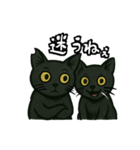 黒猫兄弟ココピー④（個別スタンプ：6）