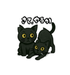黒猫兄弟ココピー④（個別スタンプ：7）