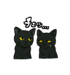 黒猫兄弟ココピー④（個別スタンプ：11）