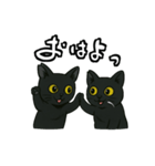 黒猫兄弟ココピー④（個別スタンプ：12）