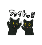 黒猫兄弟ココピー④（個別スタンプ：13）