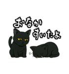 黒猫兄弟ココピー④（個別スタンプ：14）