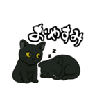 黒猫兄弟ココピー④（個別スタンプ：16）