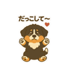 わんわんコンビの毎日（個別スタンプ：2）