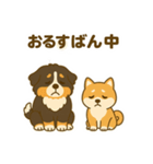 わんわんコンビの毎日（個別スタンプ：4）
