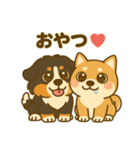 わんわんコンビの毎日（個別スタンプ：5）