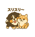 わんわんコンビの毎日（個別スタンプ：6）