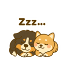 わんわんコンビの毎日（個別スタンプ：7）