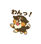 わんわんコンビの毎日（個別スタンプ：8）