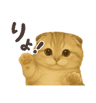 毎日にゃんこと一緒！スタンプ(ᯫ᳐⦁⩊⦁ᯫ᳐)（個別スタンプ：14）