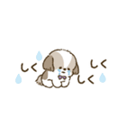 まるまるシーズーちゃんず（小さめ）（個別スタンプ：4）
