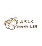 まるまるシーズーちゃんず（小さめ）（個別スタンプ：13）