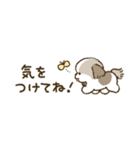まるまるシーズーちゃんず（小さめ）（個別スタンプ：19）