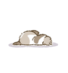 まるまるシーズーちゃんず（小さめ）（個別スタンプ：22）
