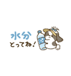 まるまるシーズーちゃんず（小さめ）（個別スタンプ：24）