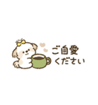 まるまるシーズーちゃんず（小さめ）（個別スタンプ：25）