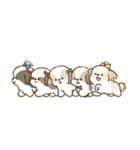 まるまるシーズーちゃんず（小さめ）（個別スタンプ：31）