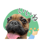 ぷんとボブ（個別スタンプ：14）