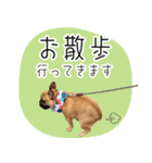 ぷんとボブ（個別スタンプ：35）