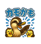 カルガモファミリーの日常（個別スタンプ：9）