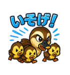 カルガモファミリーの日常（個別スタンプ：34）